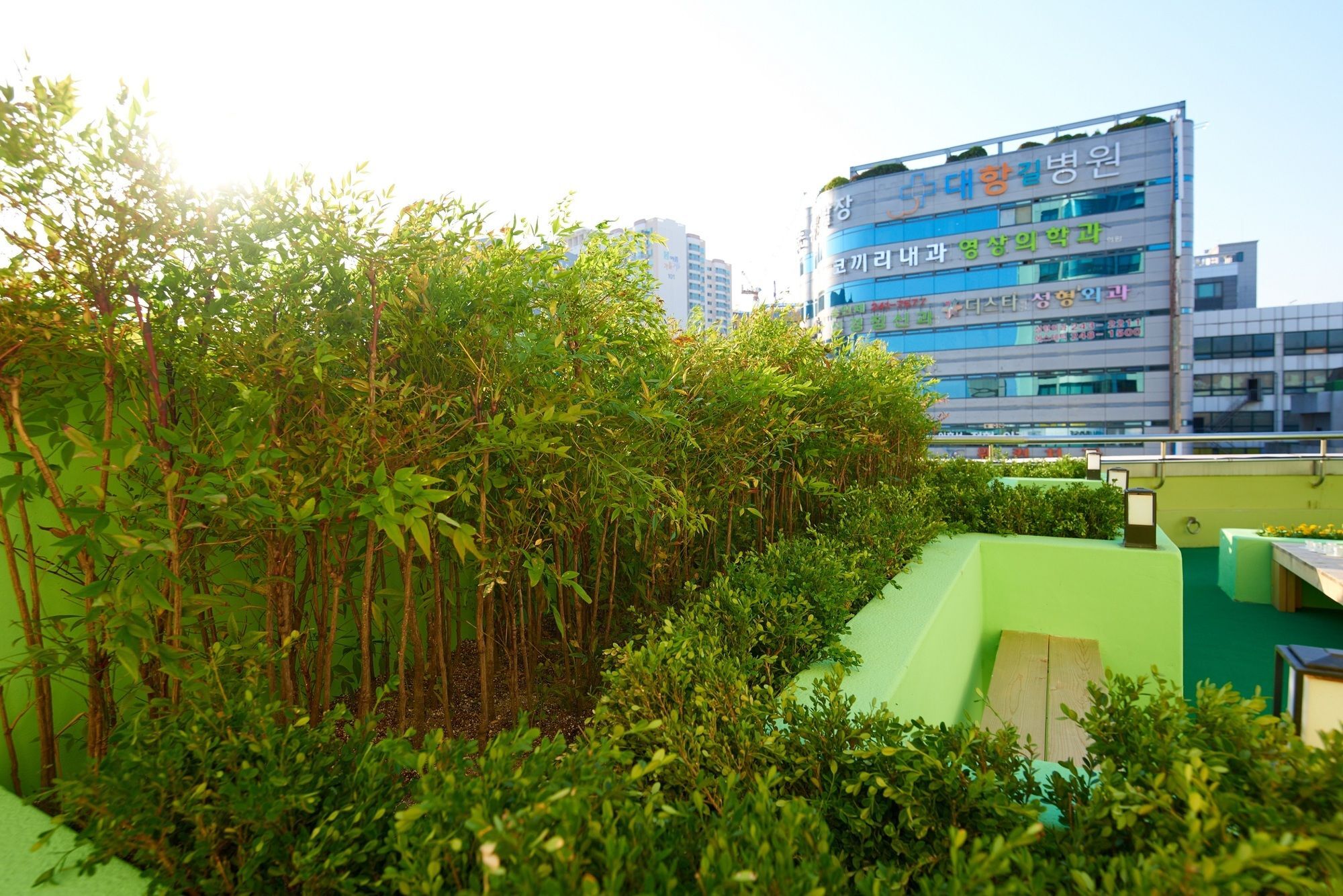 24 Guesthouse Jagalchi Busan Dış mekan fotoğraf