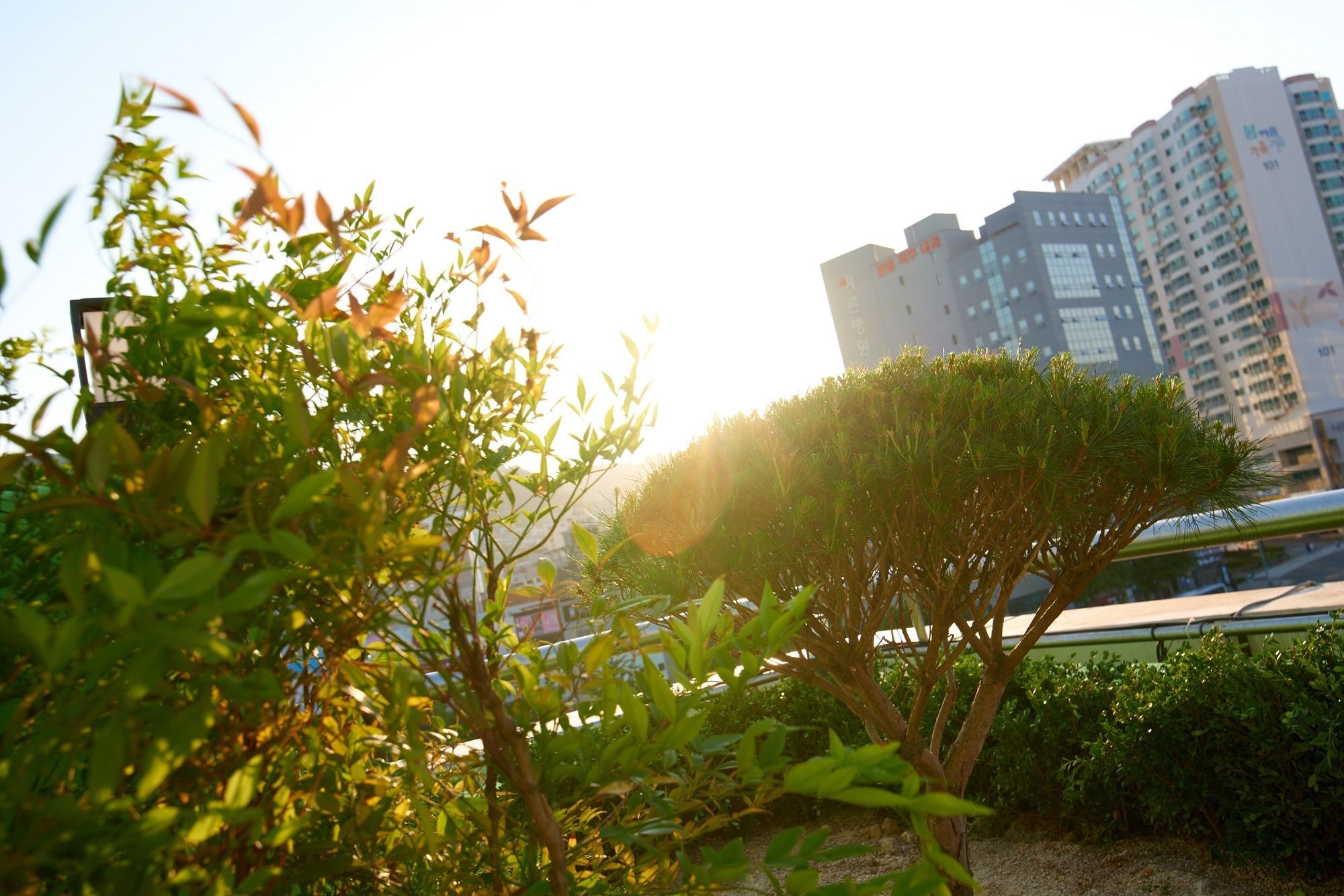 24 Guesthouse Jagalchi Busan Dış mekan fotoğraf